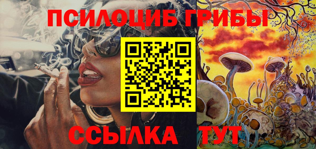 Галлюциногенные грибы мицелий  как найти   Сунжа  Галлюциногенные грибы MAGIC MUSHROOMS  Вход с VPN 